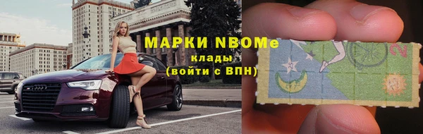 шишки Кукмор