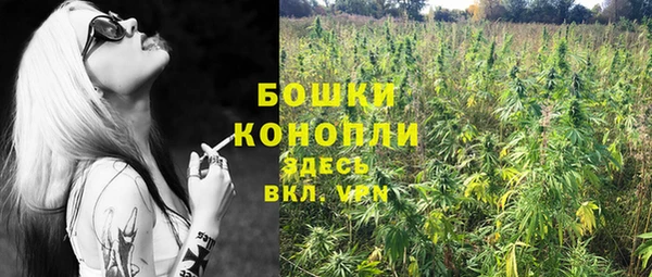 прущие грибы Краснослободск
