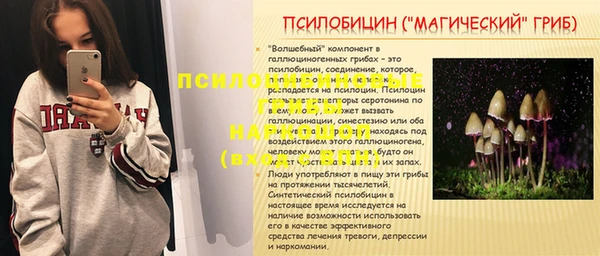 шишки Кукмор